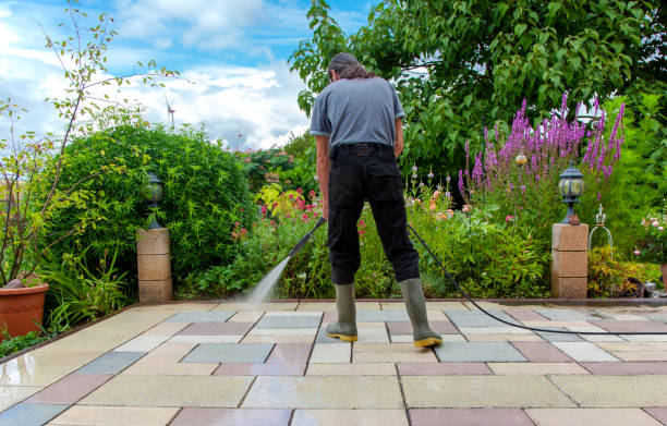Animal Enclosure Cleaning in Sunset, UT